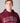 Harvard Collegiate Hoodie