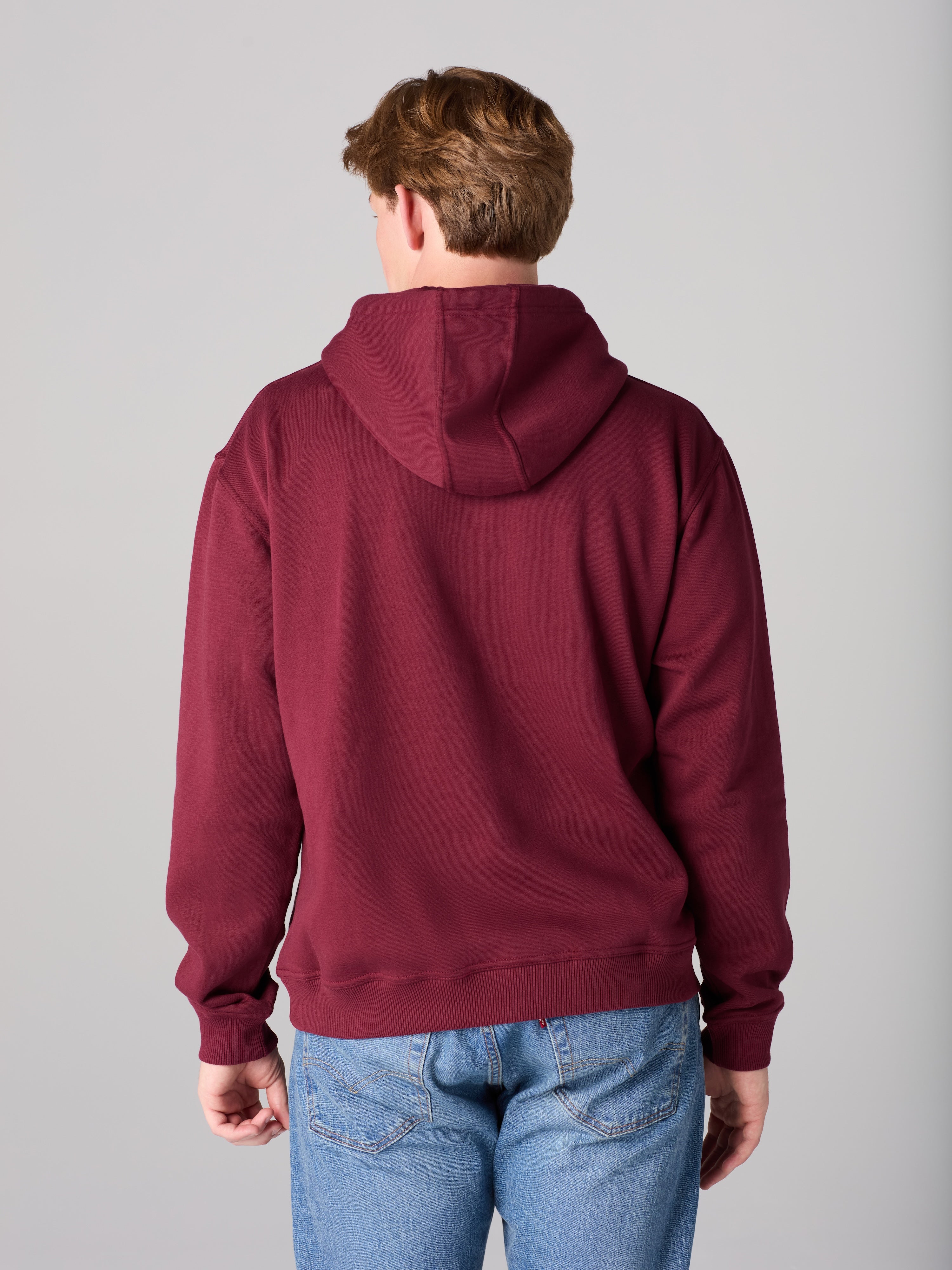 Harvard Collegiate Hoodie