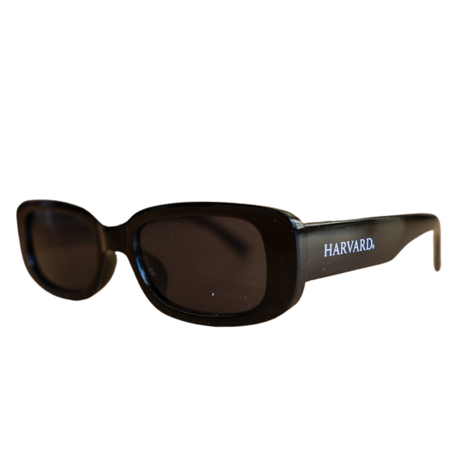 Harvard Sunglasses