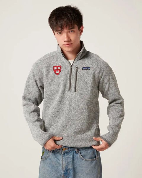 Harvard Patagonia Better Sweater 1/4 Zip Nickel S