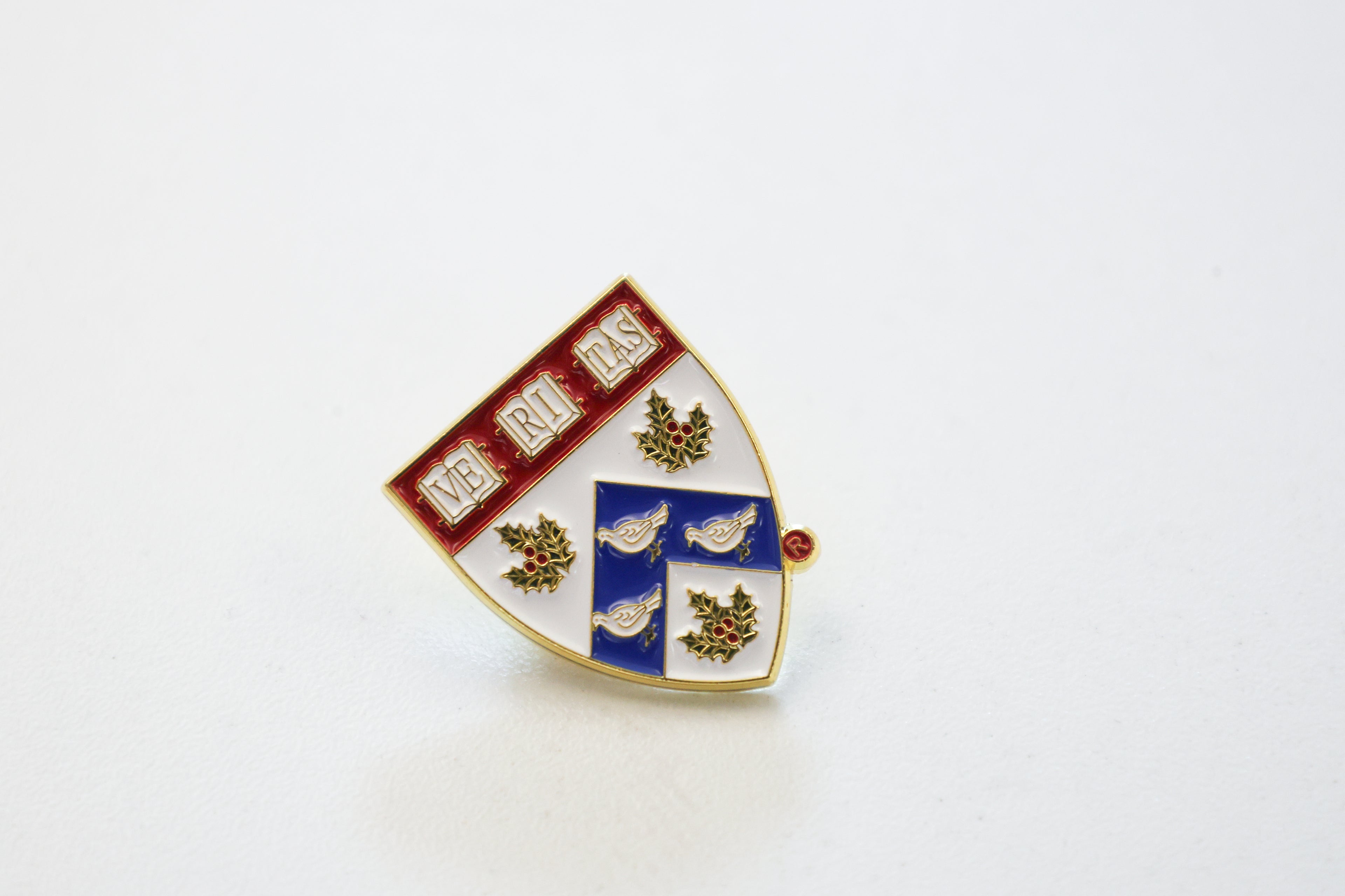 Harvard Divinity School Pin