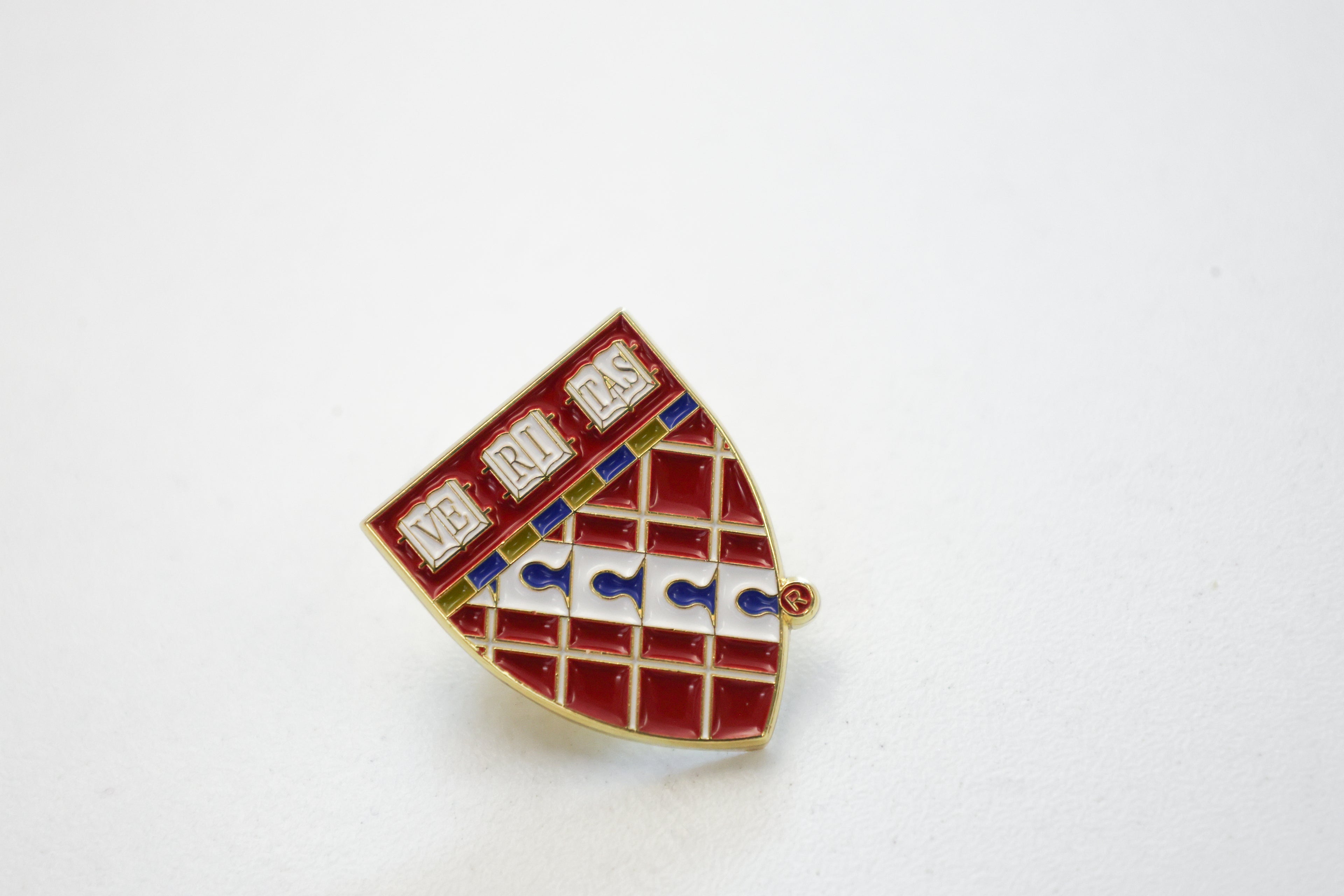 Harvard School of Design Pin