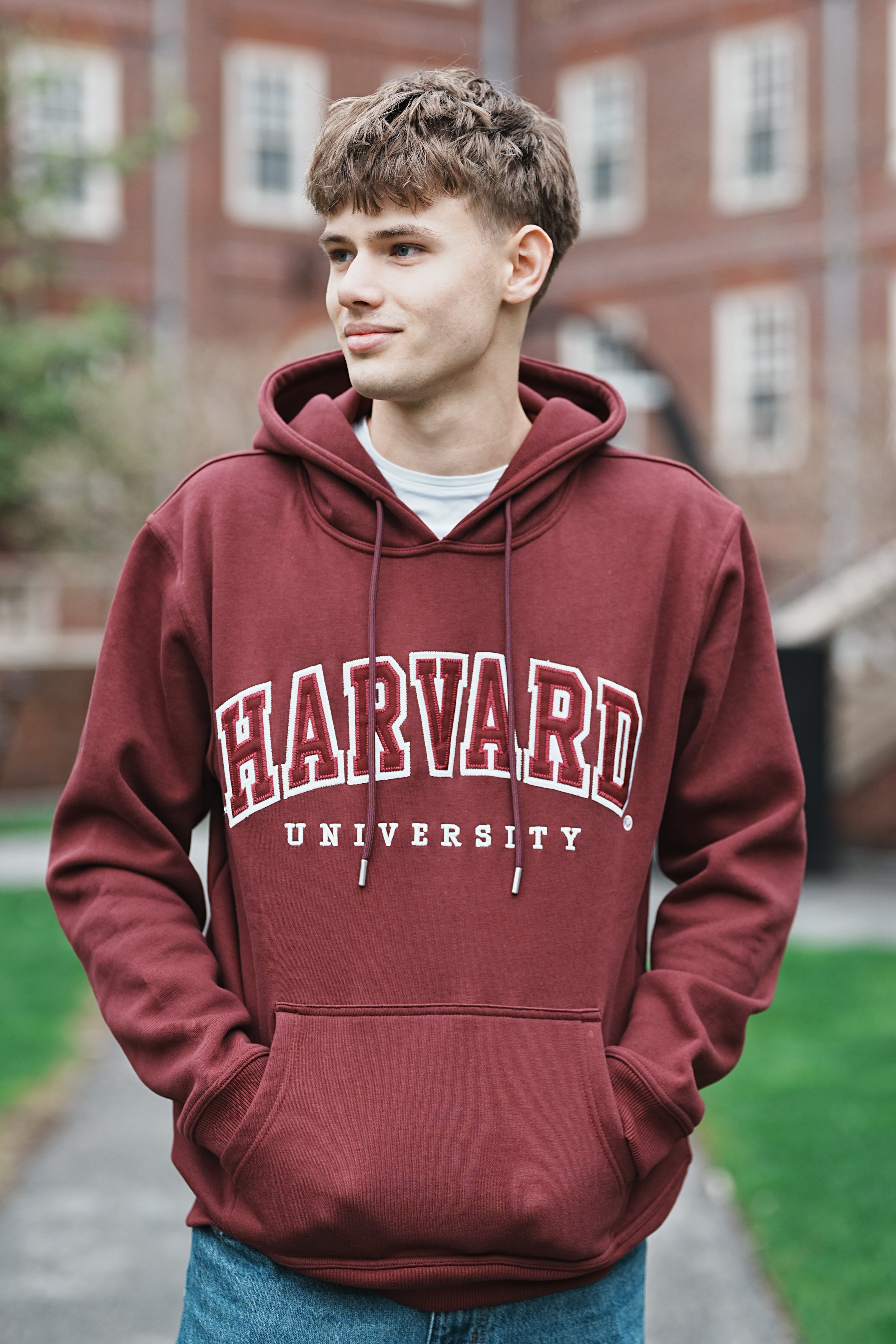 Harvard Collegiate Hoodie - The Harvard Shop