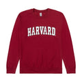 Harvard Arc Crewneck - The Harvard Shop