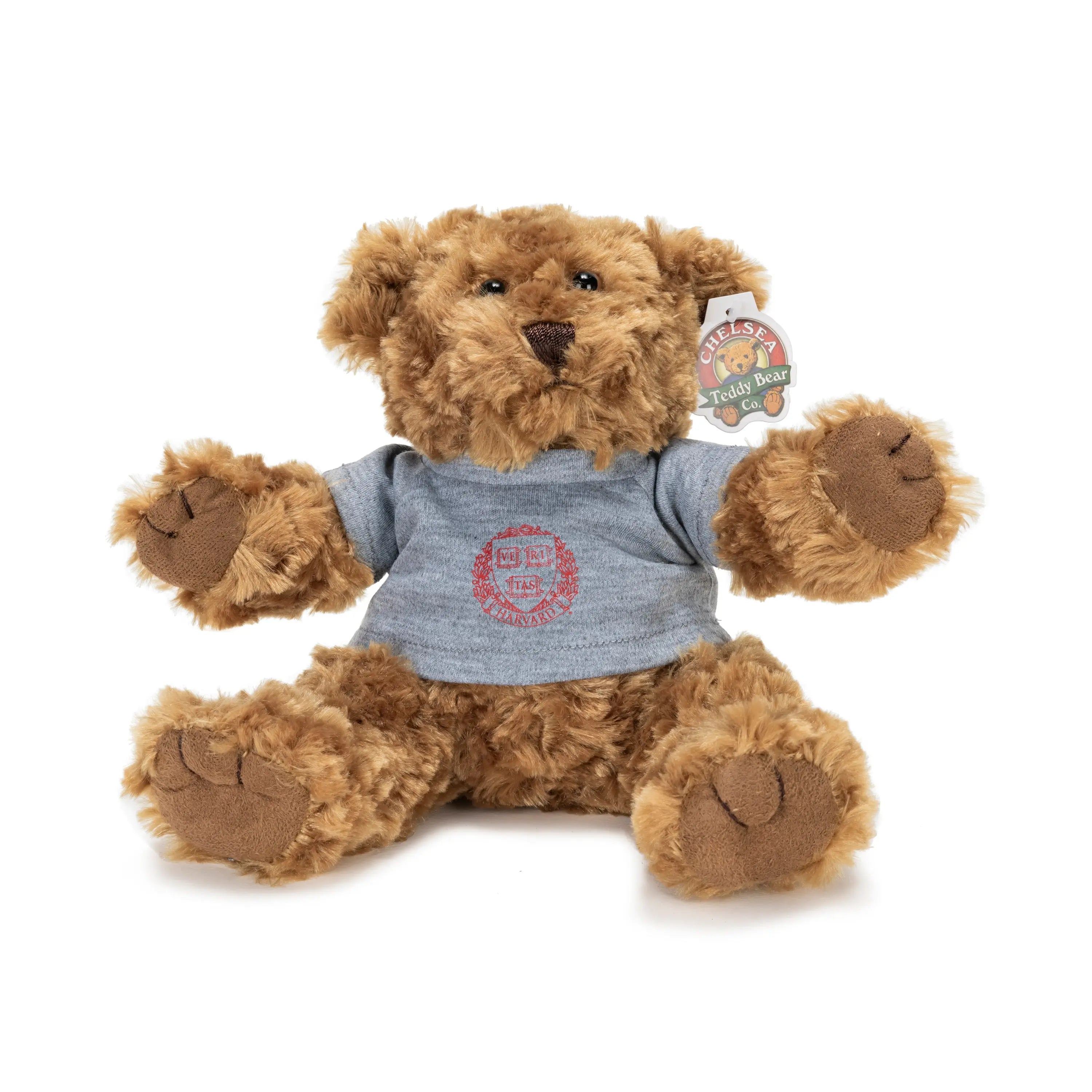 Harvard Bear Plushie - The Harvard Shop