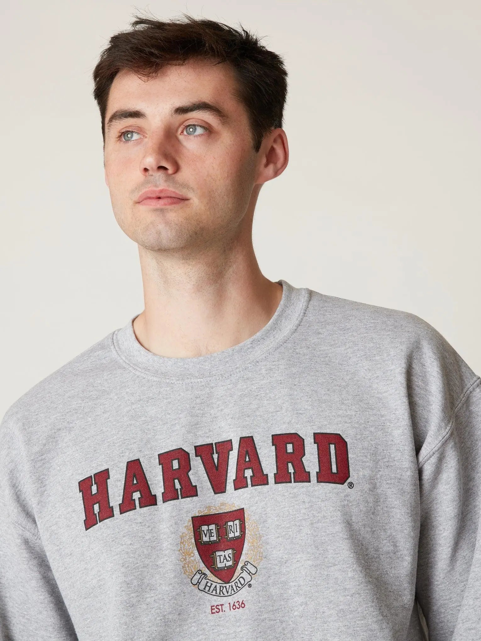Harvard Crest Crewneck - The Harvard Shop