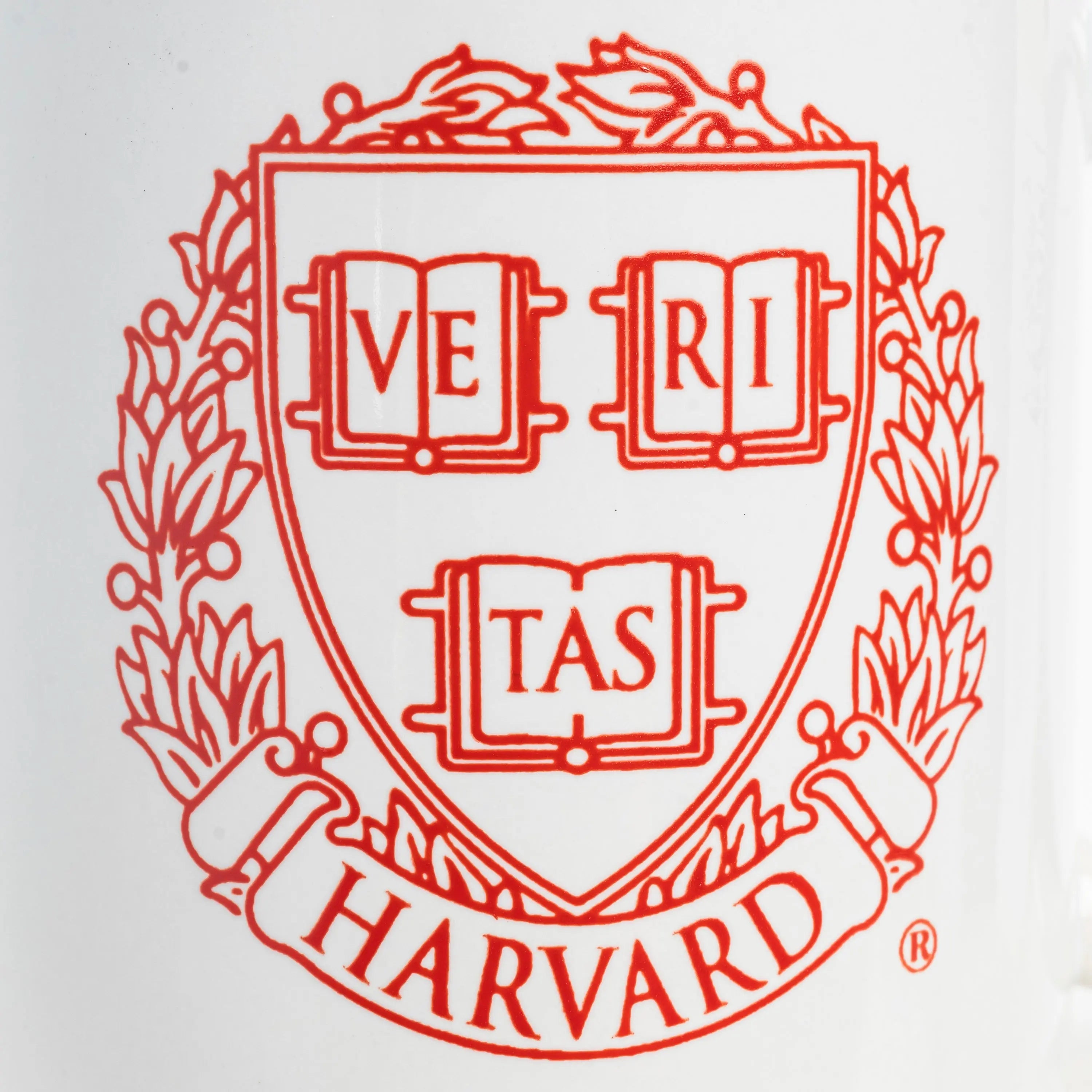Harvard Crest Mug - The Harvard Shop