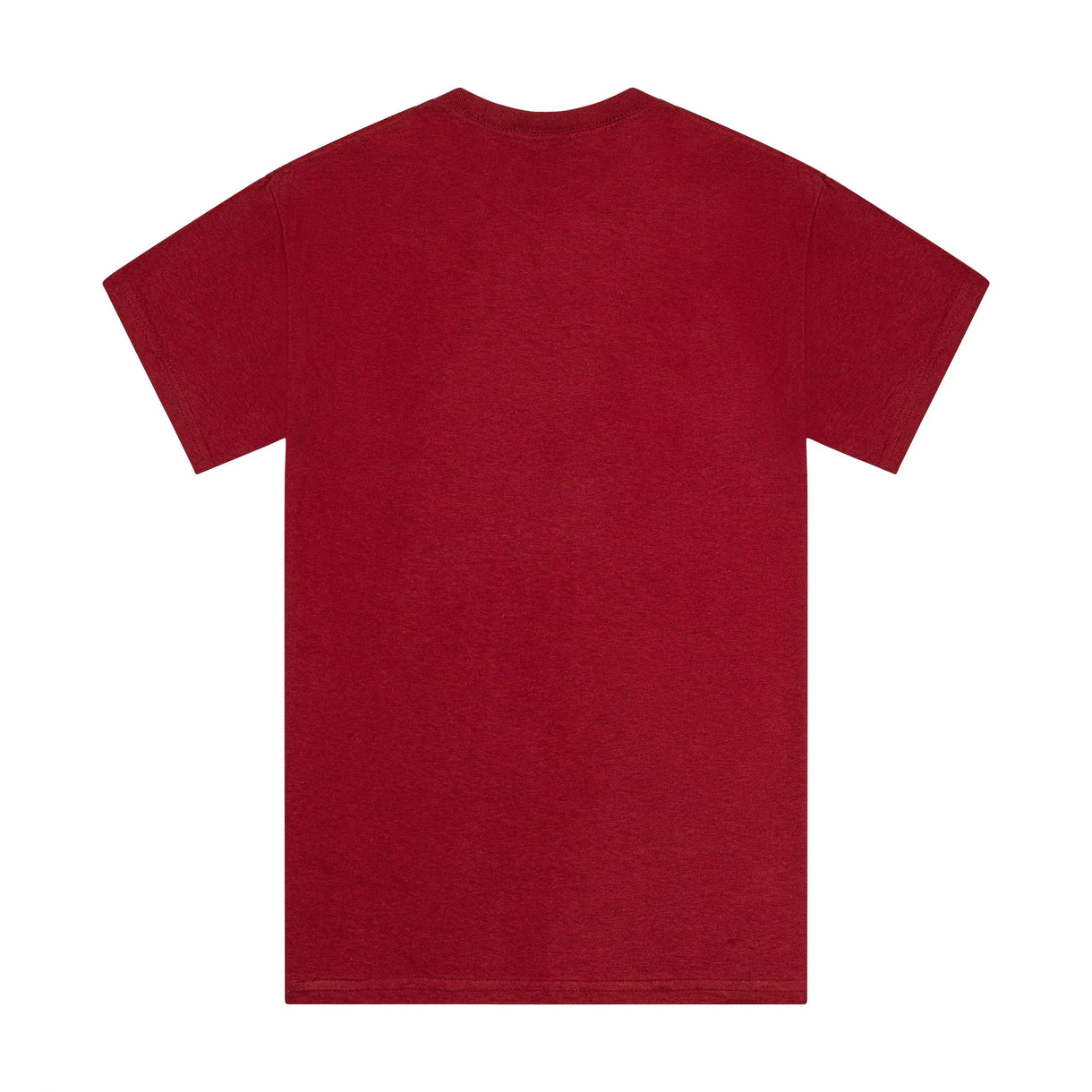 Harshvardhan’s Statement V Neck Shirt