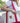 Harvard Crest Tote Bag - The Harvard Shop