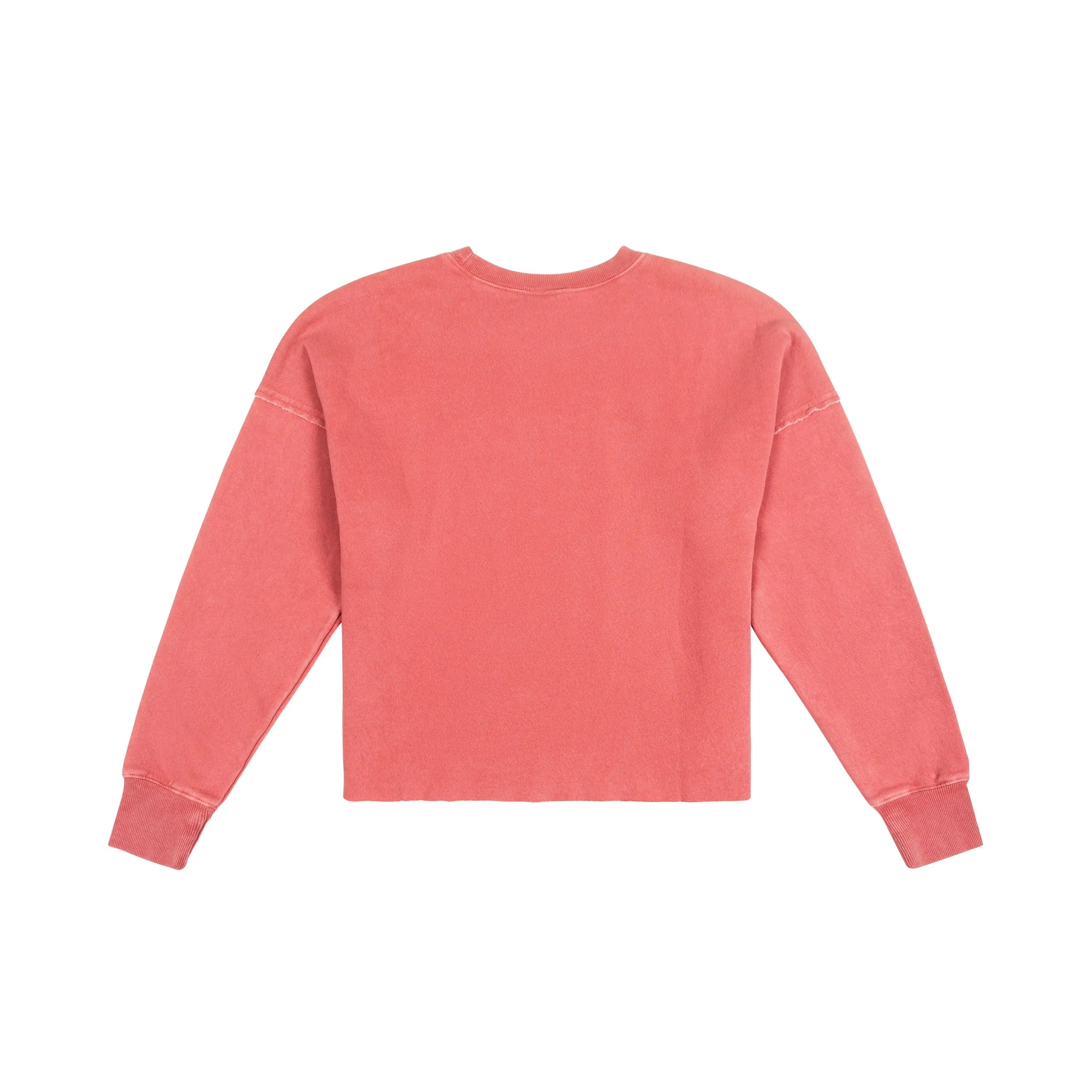 Harvard Distressed Crewneck - The Harvard Shop