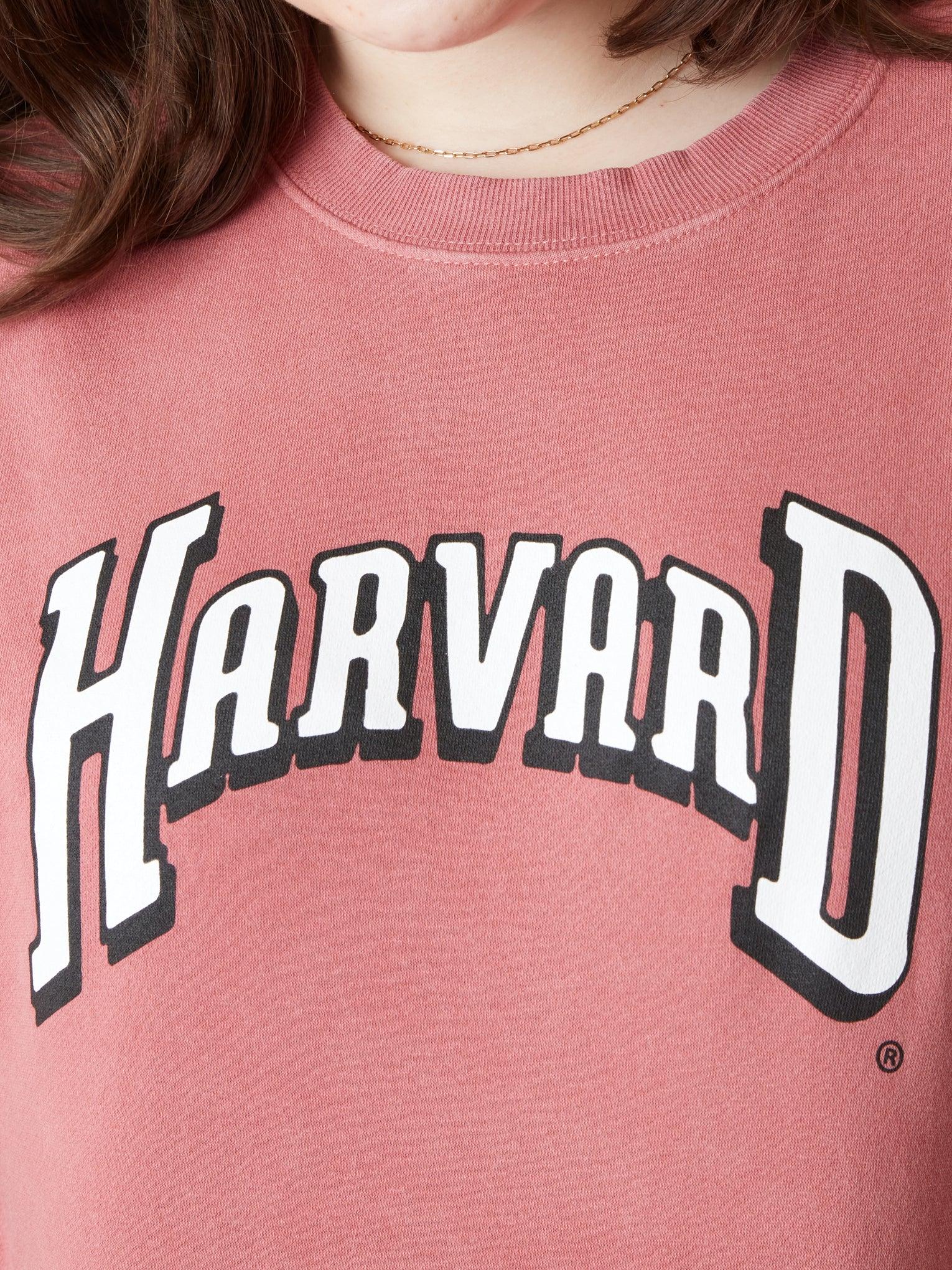 Harvard Distressed Crewneck - The Harvard Shop