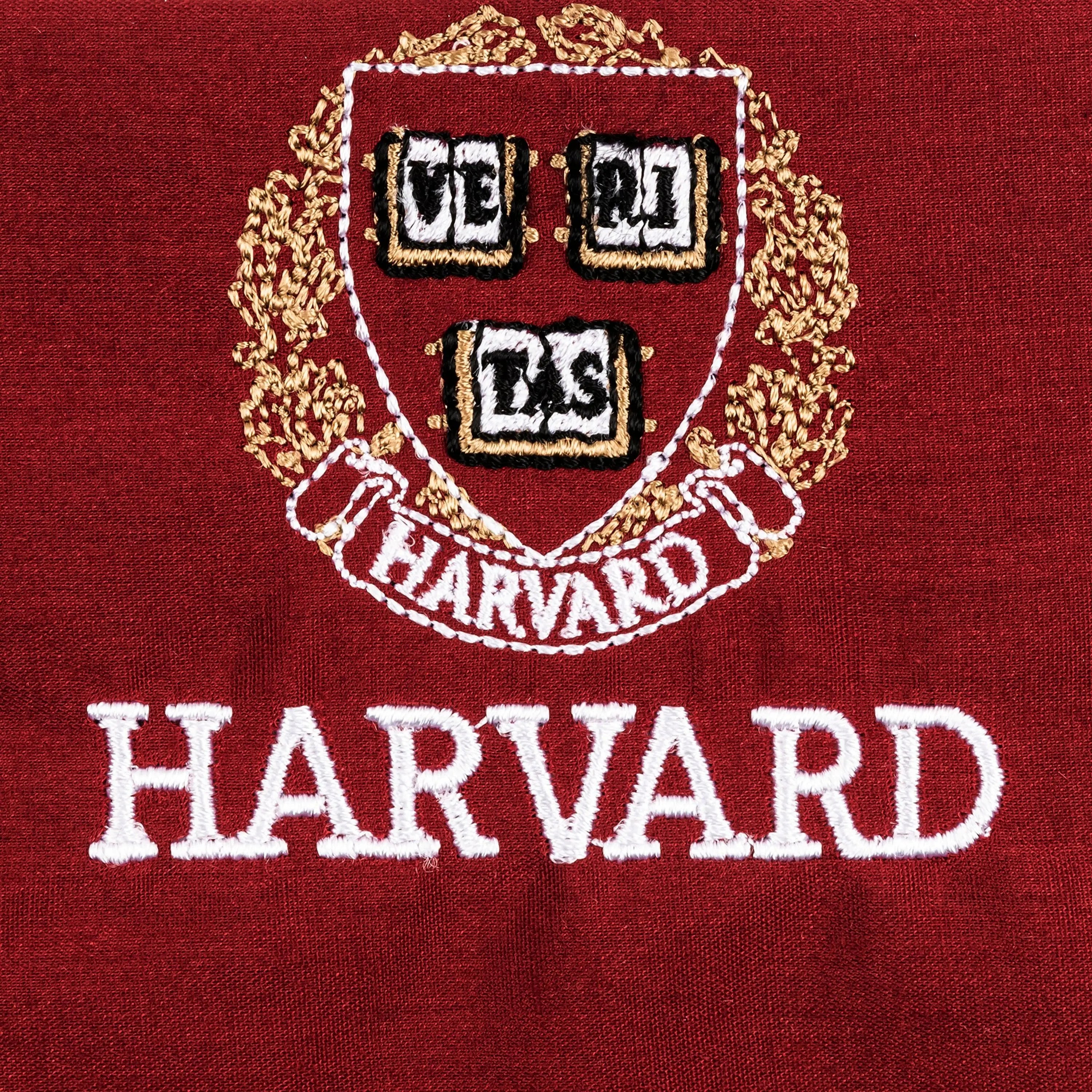 Harvard Dog Bandana - The Harvard Shop