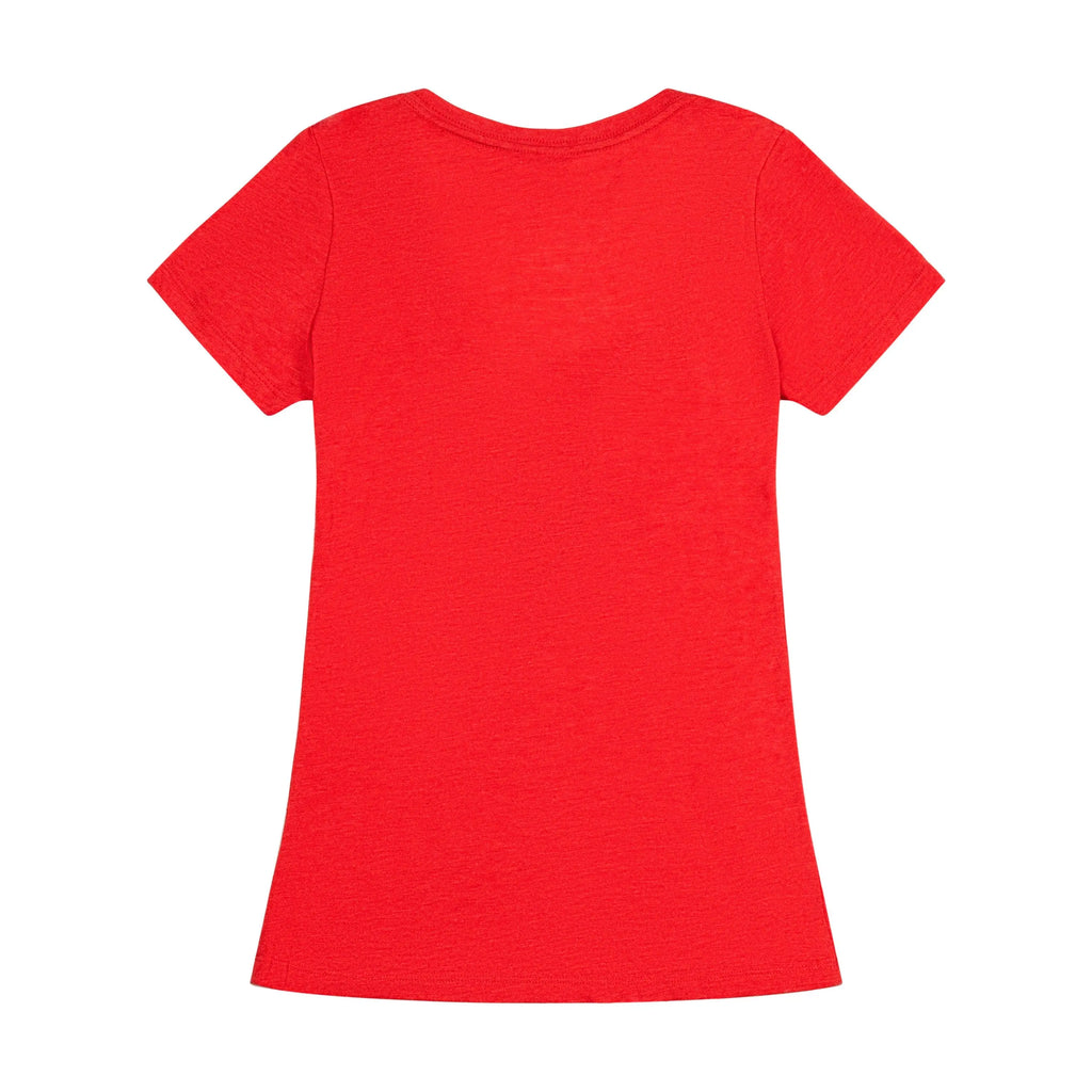 Harvard Graduate School of Education Ladies V-Neck - The Harvard Shop