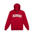 Harvard Hooded Arc Sweatshirt - The Harvard Shop