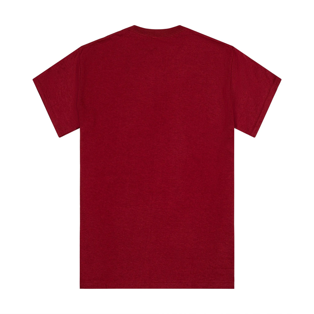 Harvard Kennedy School of Government Tee - The Harvard Shop