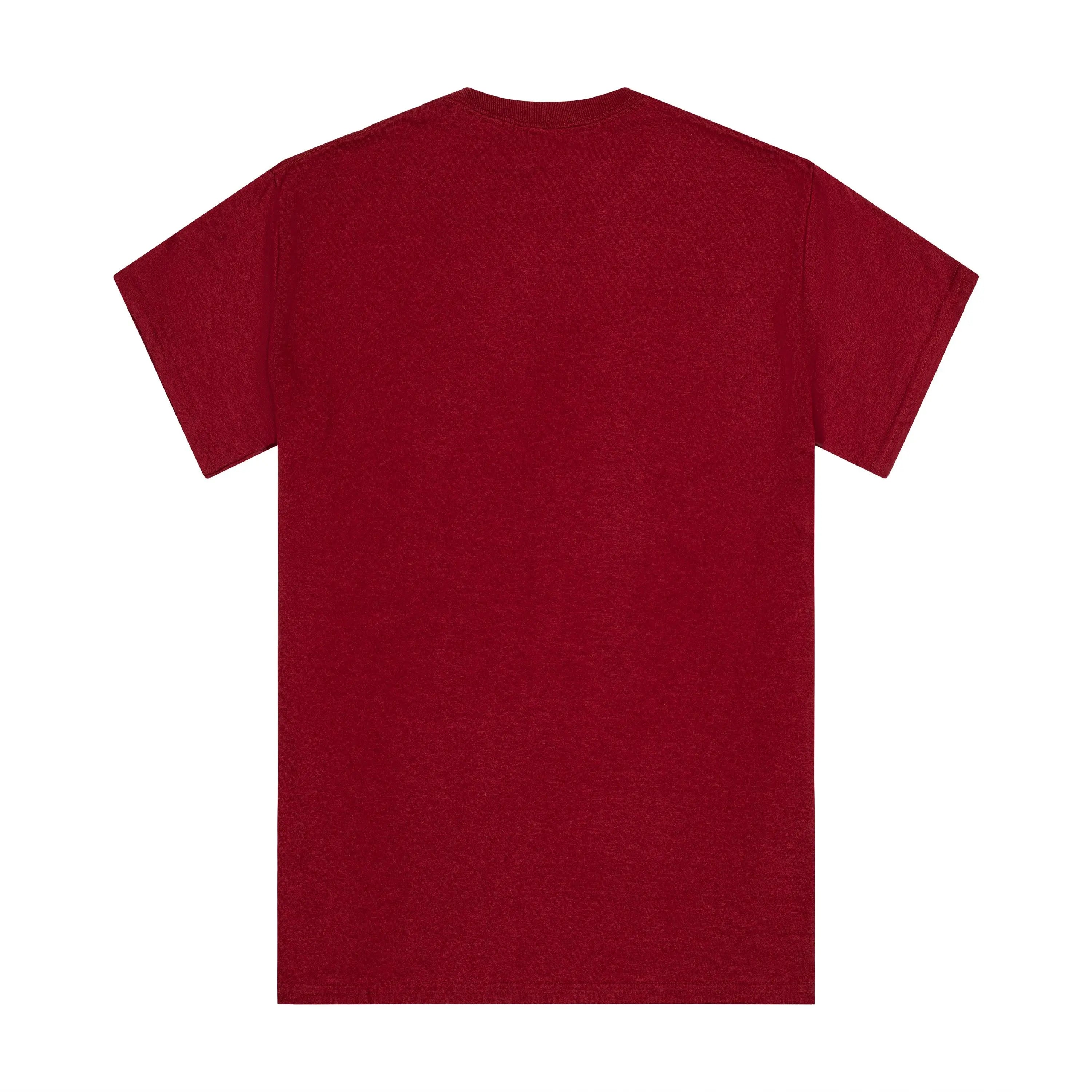 Harvard Kennedy School of Government Tee - The Harvard Shop