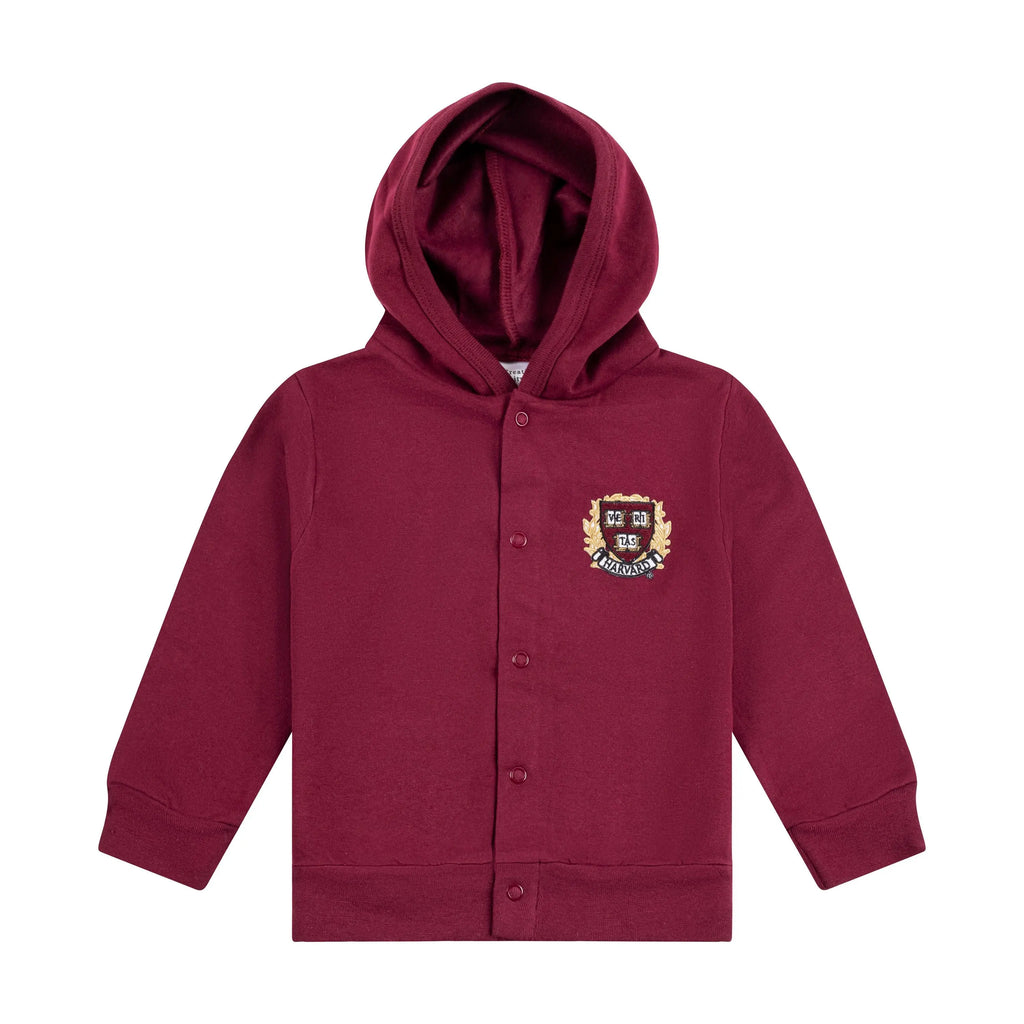 Harvard Toddler Crest Hoodie - The Harvard Shop