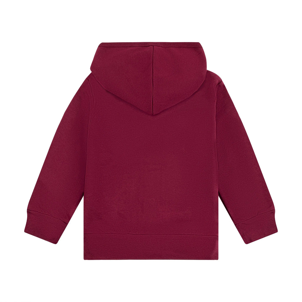 Harvard Toddler Crest Hoodie - The Harvard Shop