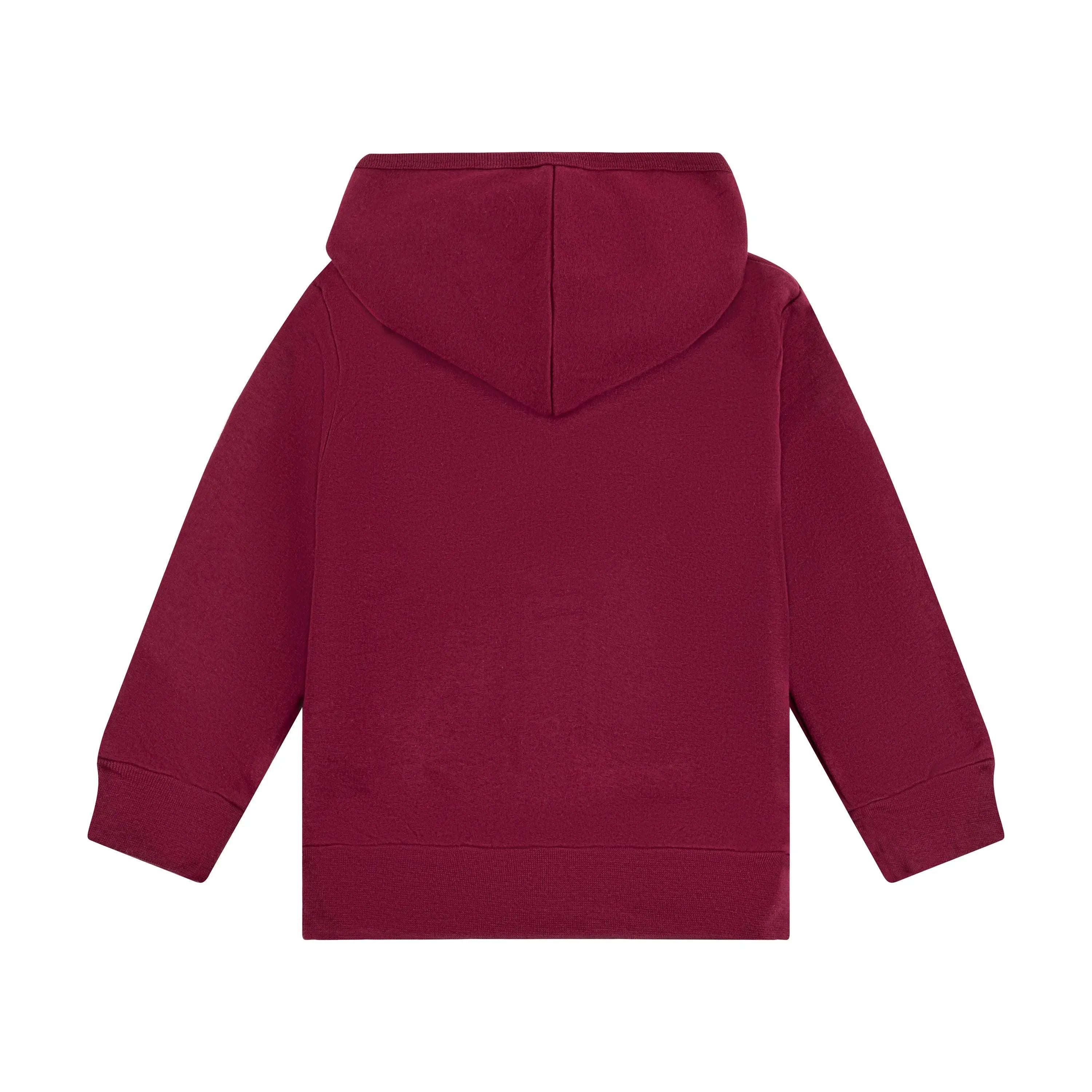 Harvard Toddler Crest Hoodie - The Harvard Shop
