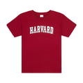 Harvard Youth Arc T-Shirt - The Harvard Shop