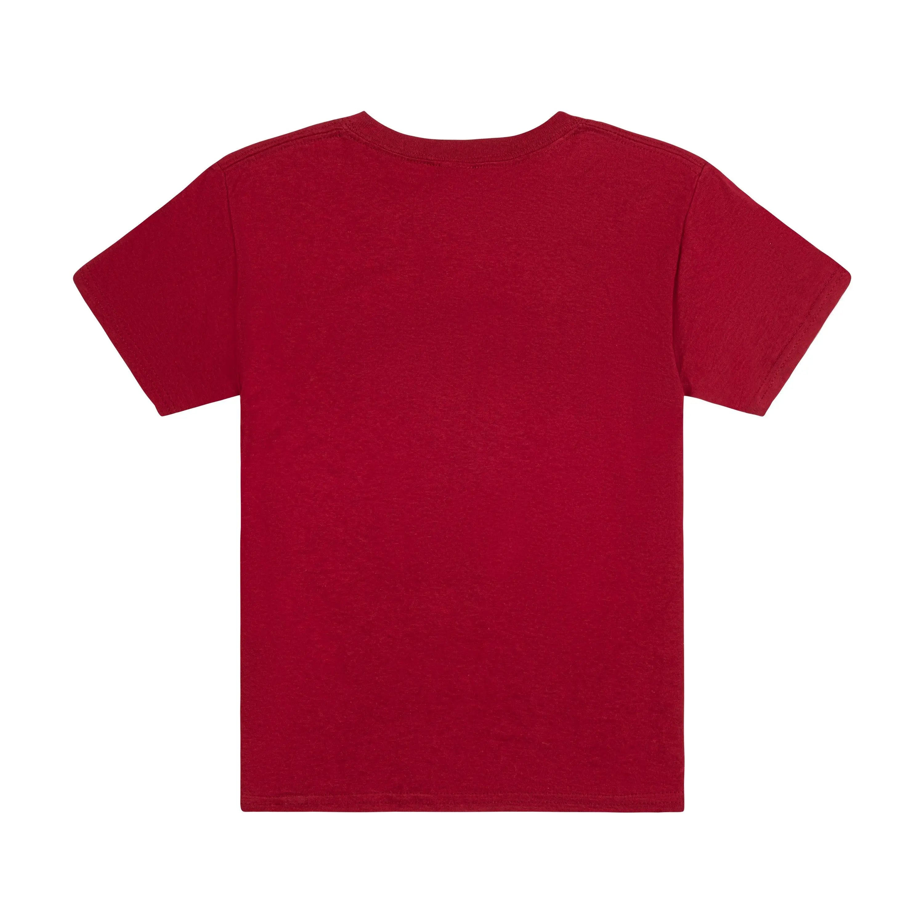 Harvard Youth Arc T-Shirt - The Harvard Shop