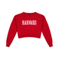 Ivy Knit Sweater - The Harvard Shop