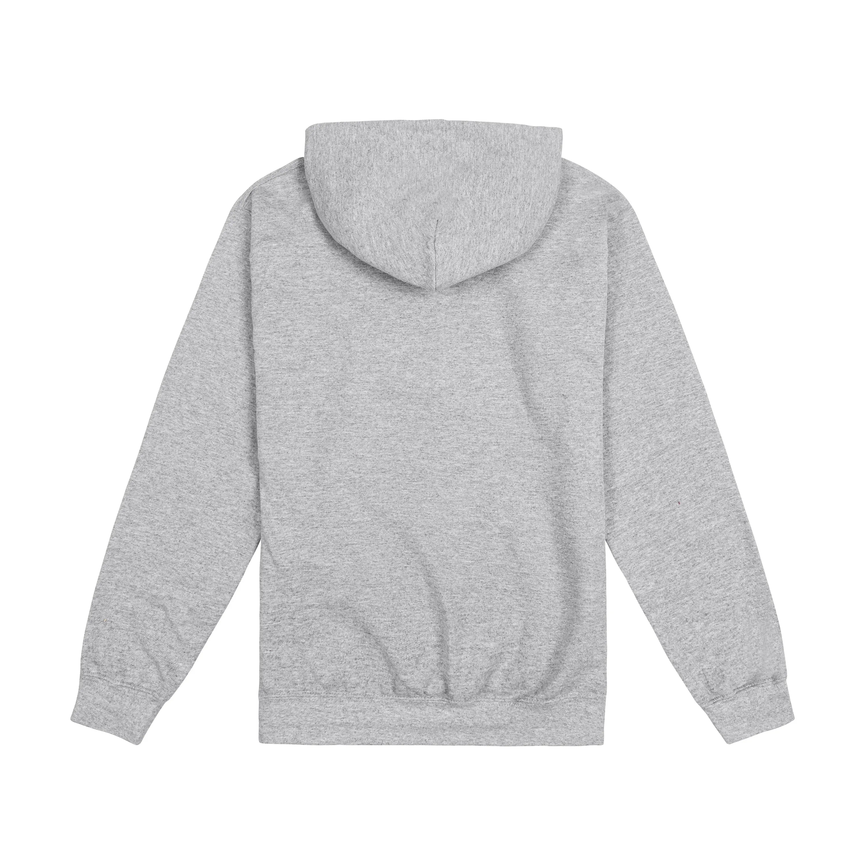 MIT Hooded Sweatshirt - The Harvard Shop