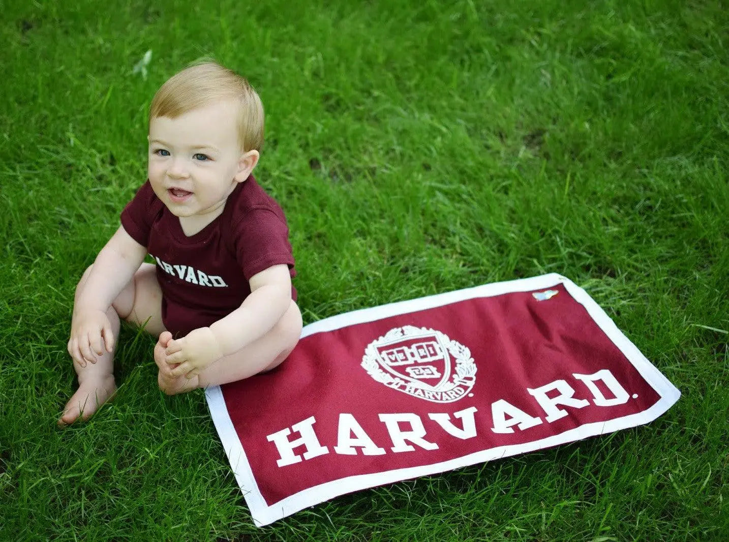 Rectangular Harvard Pennant - The Harvard Shop