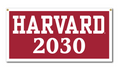 Harvard 2030 Felt Banner