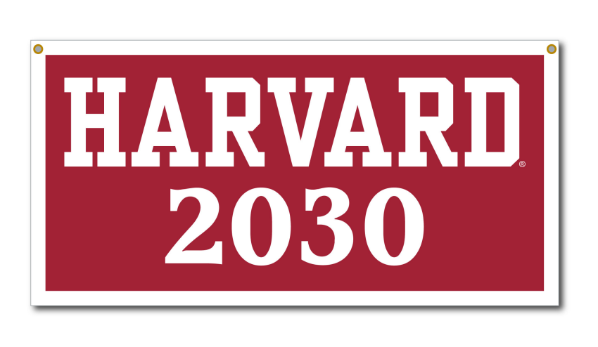 Harvard 2030 Felt Banner