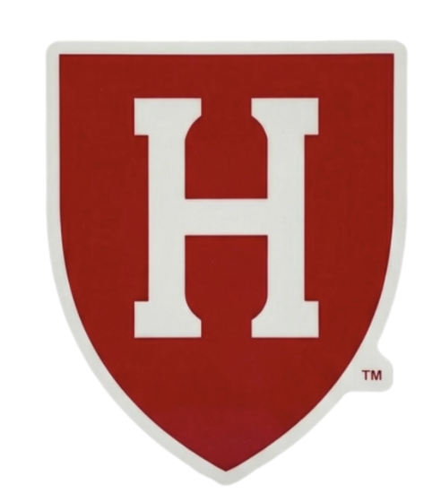 Acrylic H Shield Magnet