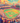 Fenway Park Postcard