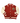Junior All-Star Jacket