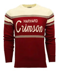 Vintage Tailgate Sweater - The Harvard Shop