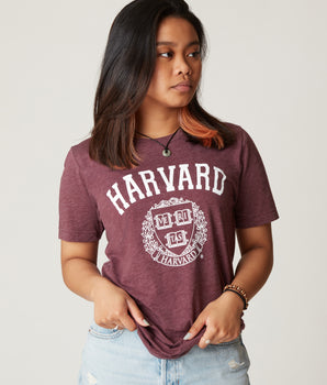 Harvard Crest TriBlend T-Shirt