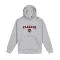 Youth Harvard Crest Hooded Sweatshirt - The Harvard Shop