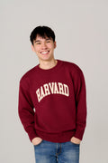 The Harvard Vintage Arc Sweater