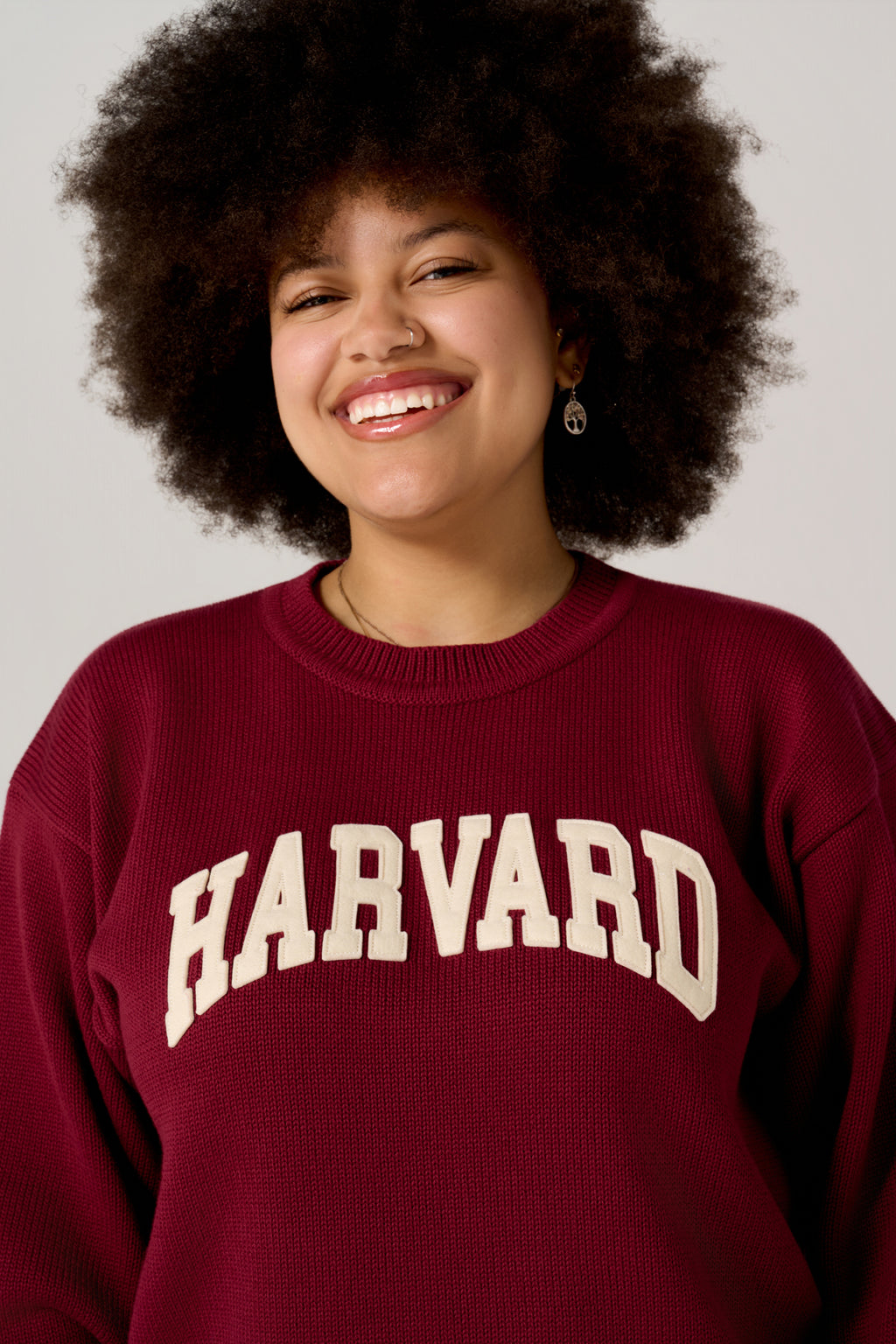 The Harvard Vintage Arc Sweater