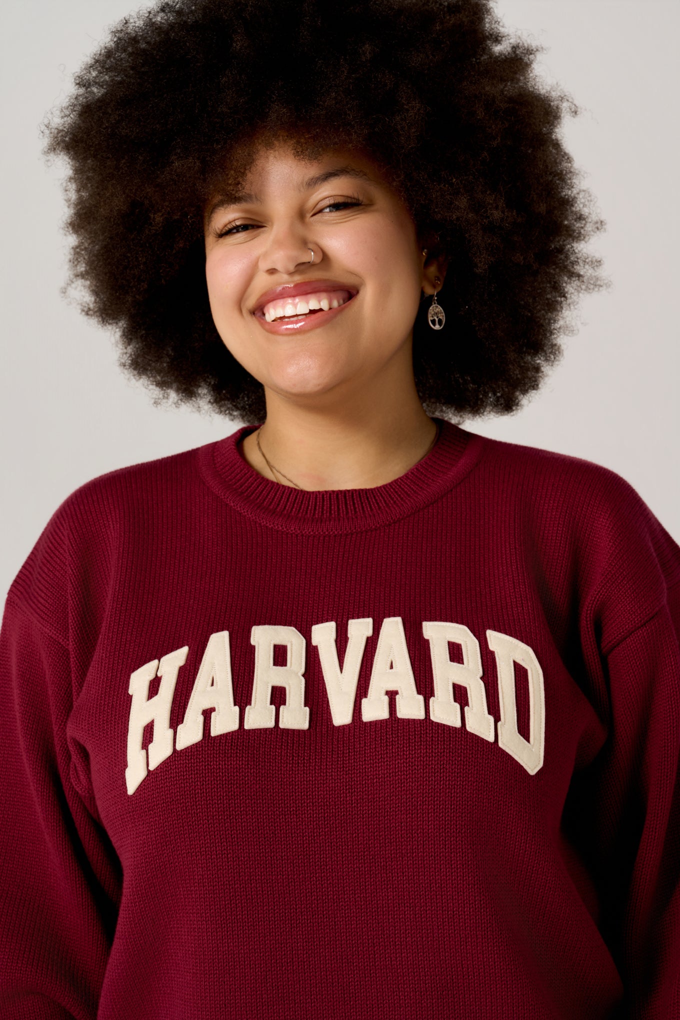 The Harvard Vintage Arc Sweater