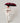 Harvard Premium Umbrella