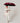 Harvard Premium Umbrella