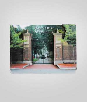 Harvard Johnston Gate Magnet