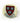 Harvard Crest Pin